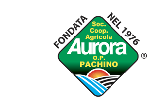 Cooperativa Aurora Logo